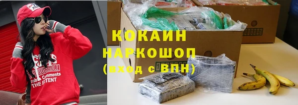 соль ск Алзамай