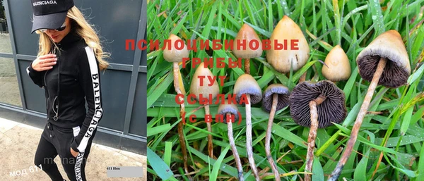 PSILOCYBIN Алексин