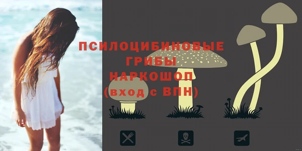 PSILOCYBIN Алексин