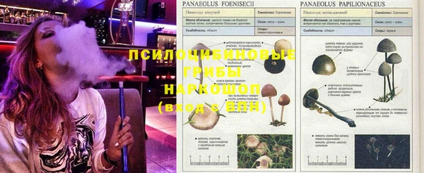 метамфетамин Алексеевка