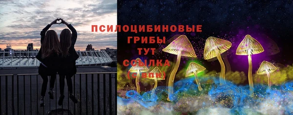 PSILOCYBIN Алексин