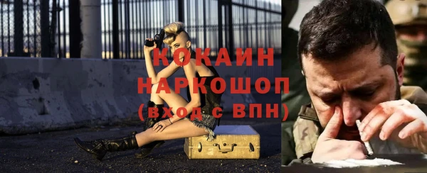 соль ск Алзамай